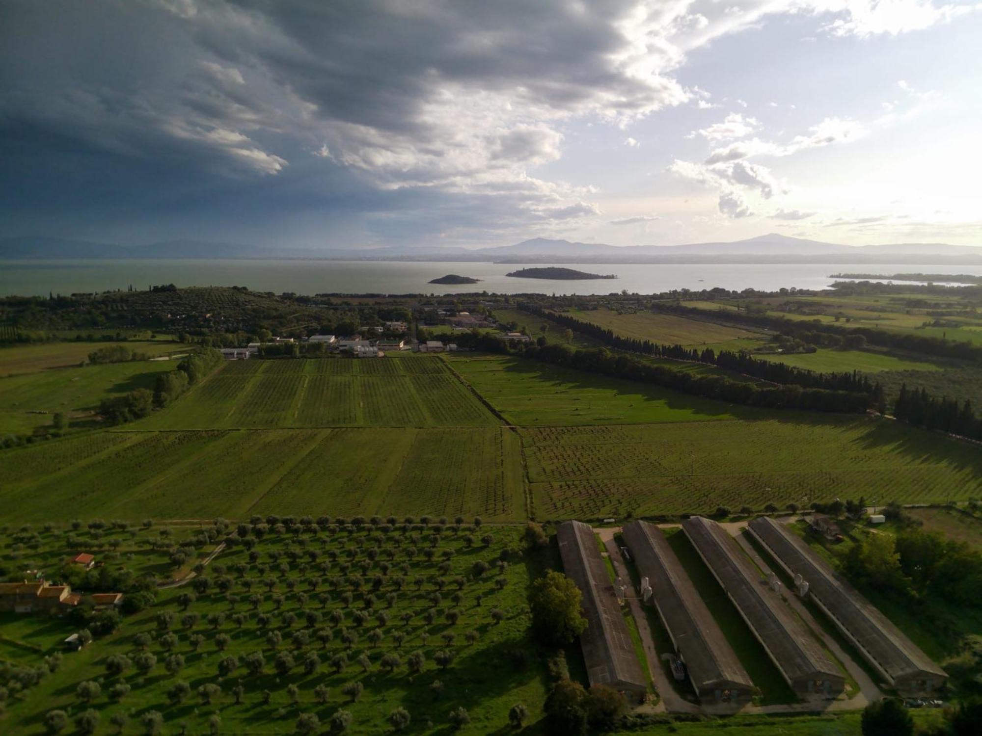 Tra E Collina Holiday home
